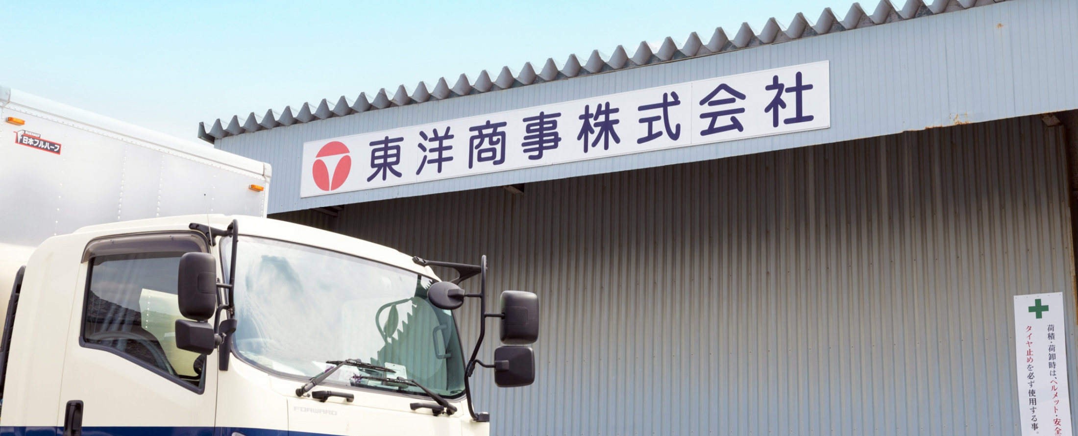 基本情報